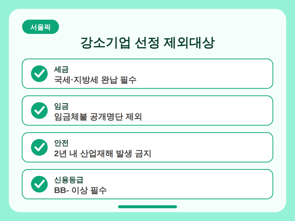 청년일자리 강소기업 선정, 탈락 사유 총정리 핵심정리 인포그래픽