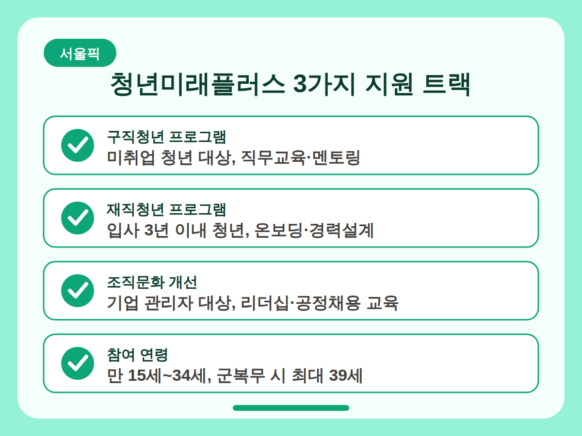 청년미래플러스 신청 조건과 지원 내용 정리 핵심정리 인포그래픽