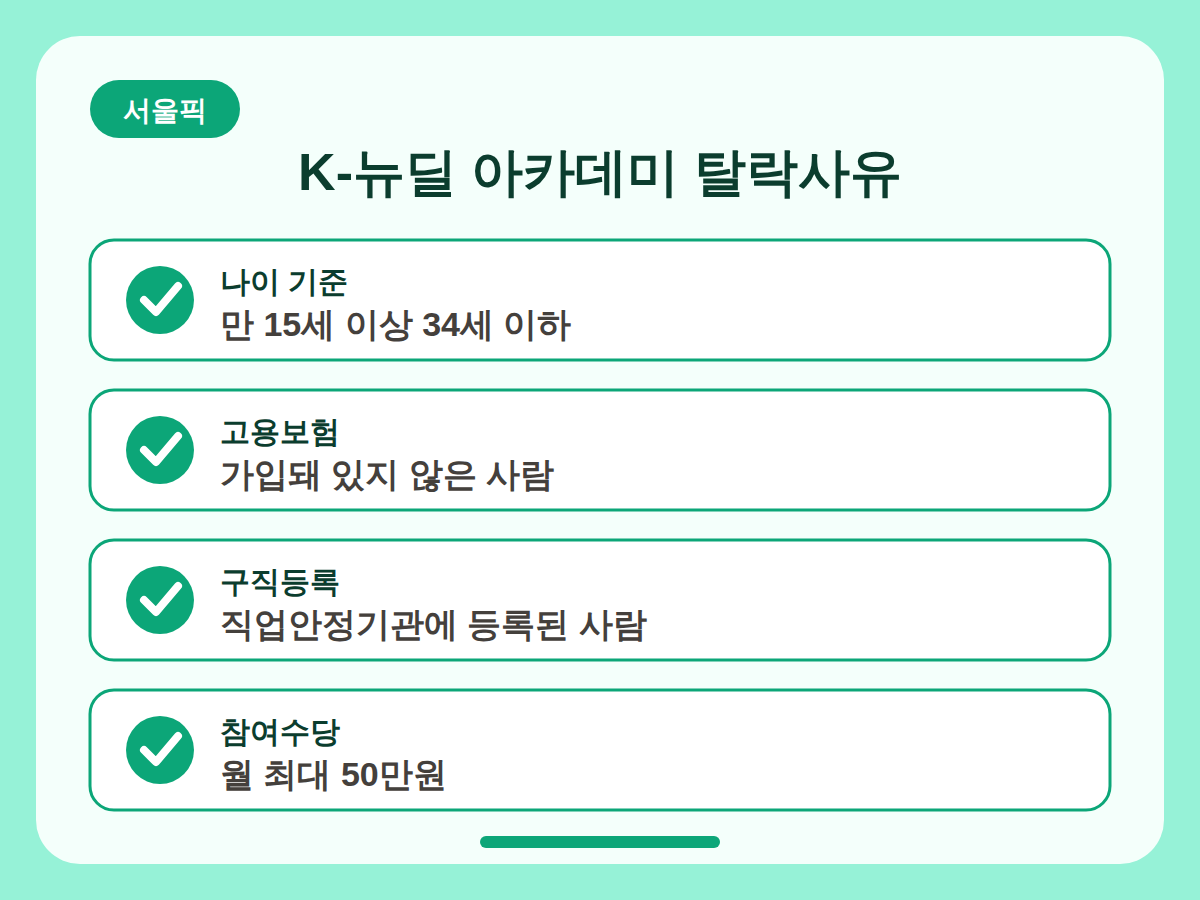 K-뉴딜 아카데미 신청 자격과 탈락 사유 정리 핵심정리 인포그래픽