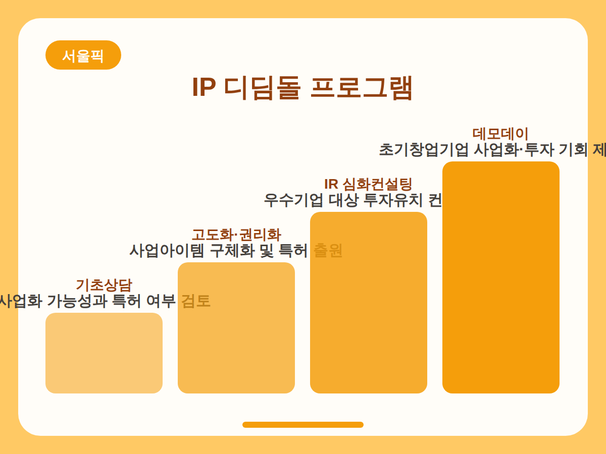 IP 디딤돌 프로그램 신청 총정리 핵심정리 인포그래픽