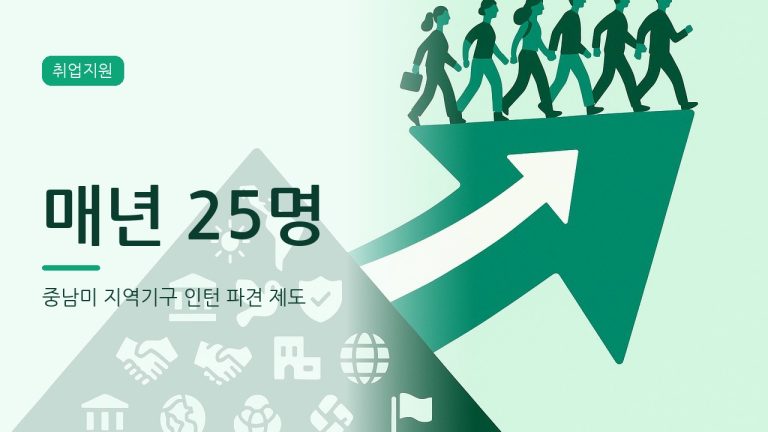 중남미 지역기구 인턴 파견, 자격과 절차